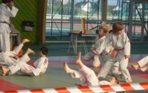 Reprise des cours de judo Lundi 08/06/2015 à partir de 18h30