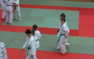 Nouvelle suspension des cours de judo jusqu'au 07/01/2021 au moins