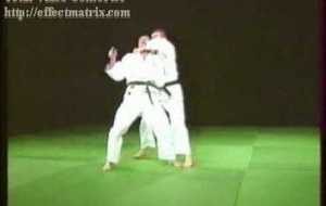 20 techniques imposées Jujitsu